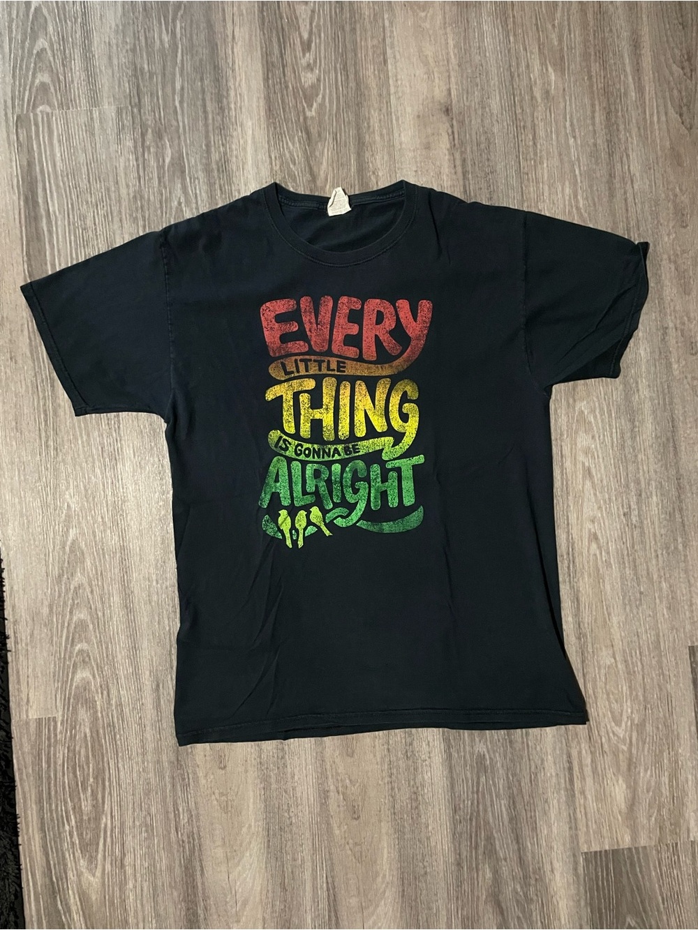 Gildan Black Tee with Red Yellow Green Gradient Graphic